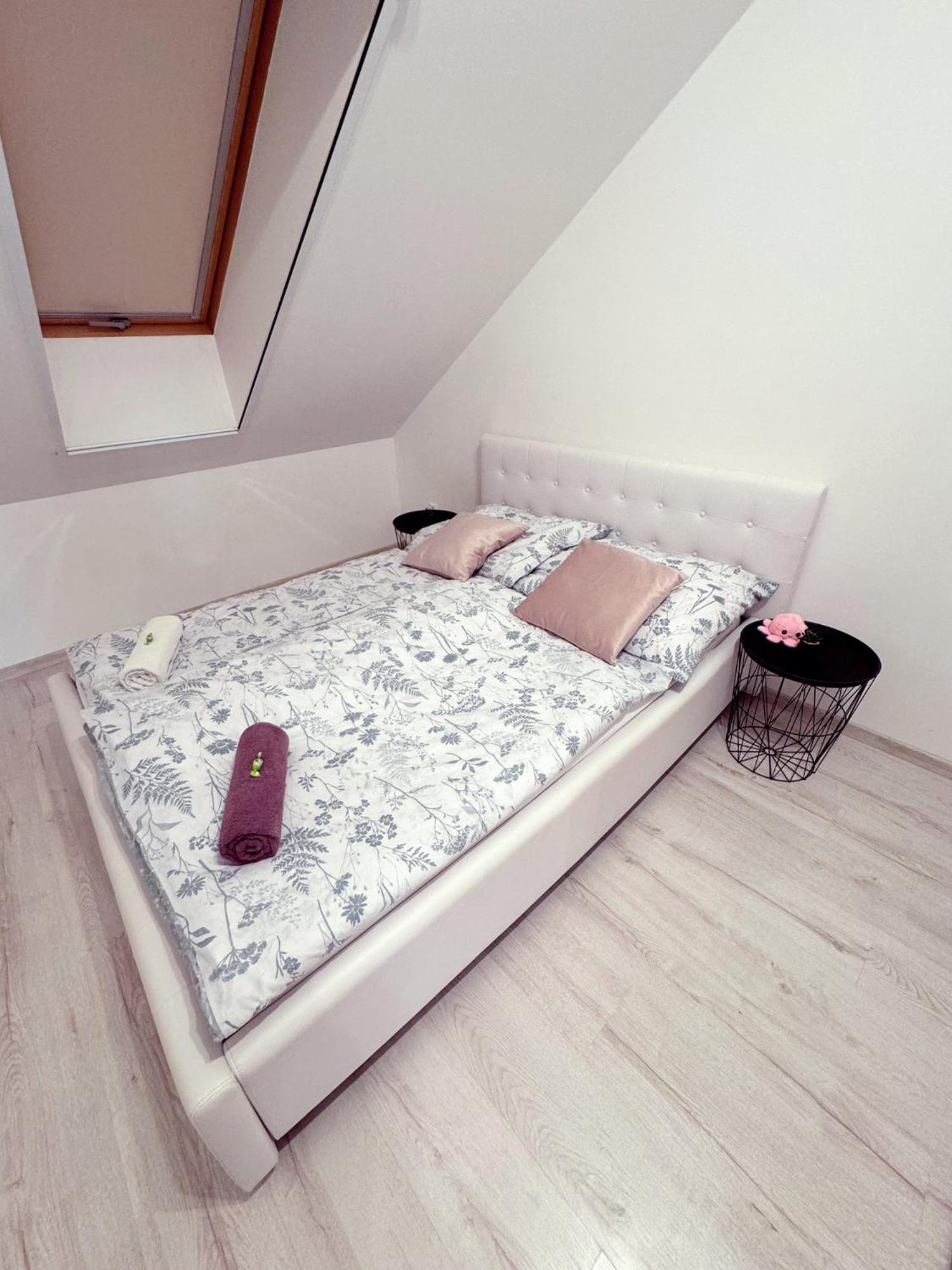 Exclusive Family Apartman Apartment Pecs Bagian luar foto